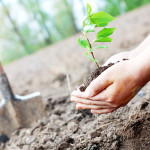 الوصول للإيمان بالله بدليل التغير والسببية